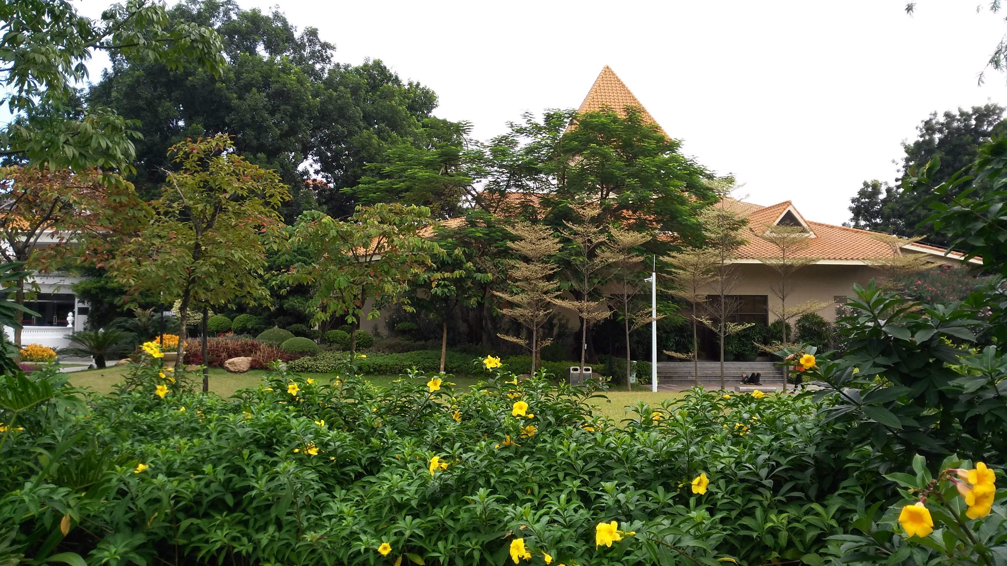 新看点揭秘：官窑草暖公园小巷子详细位置及2025年实测避坑指南