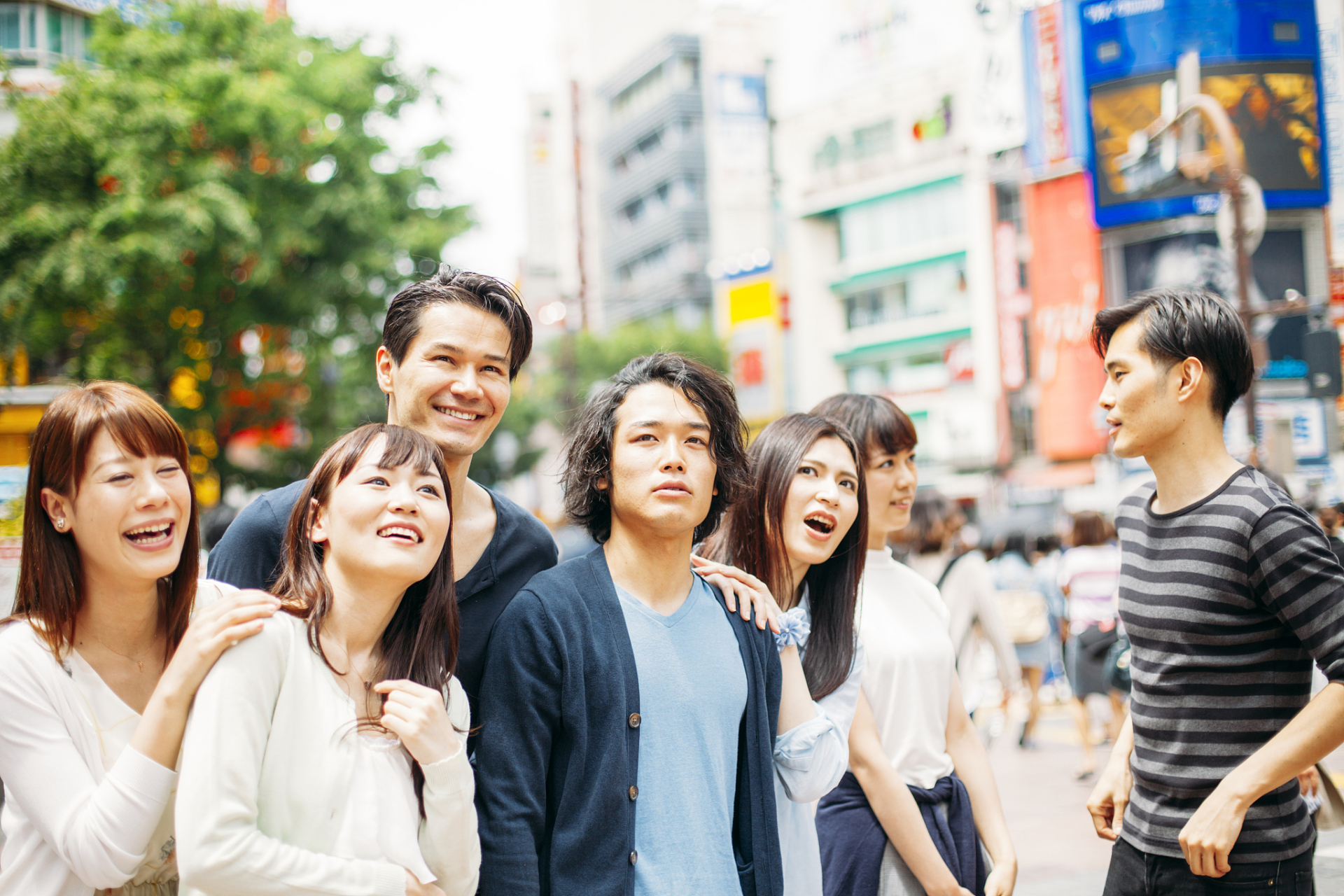 五一楼凤qm论坛入门指南及现状解析全揭秘