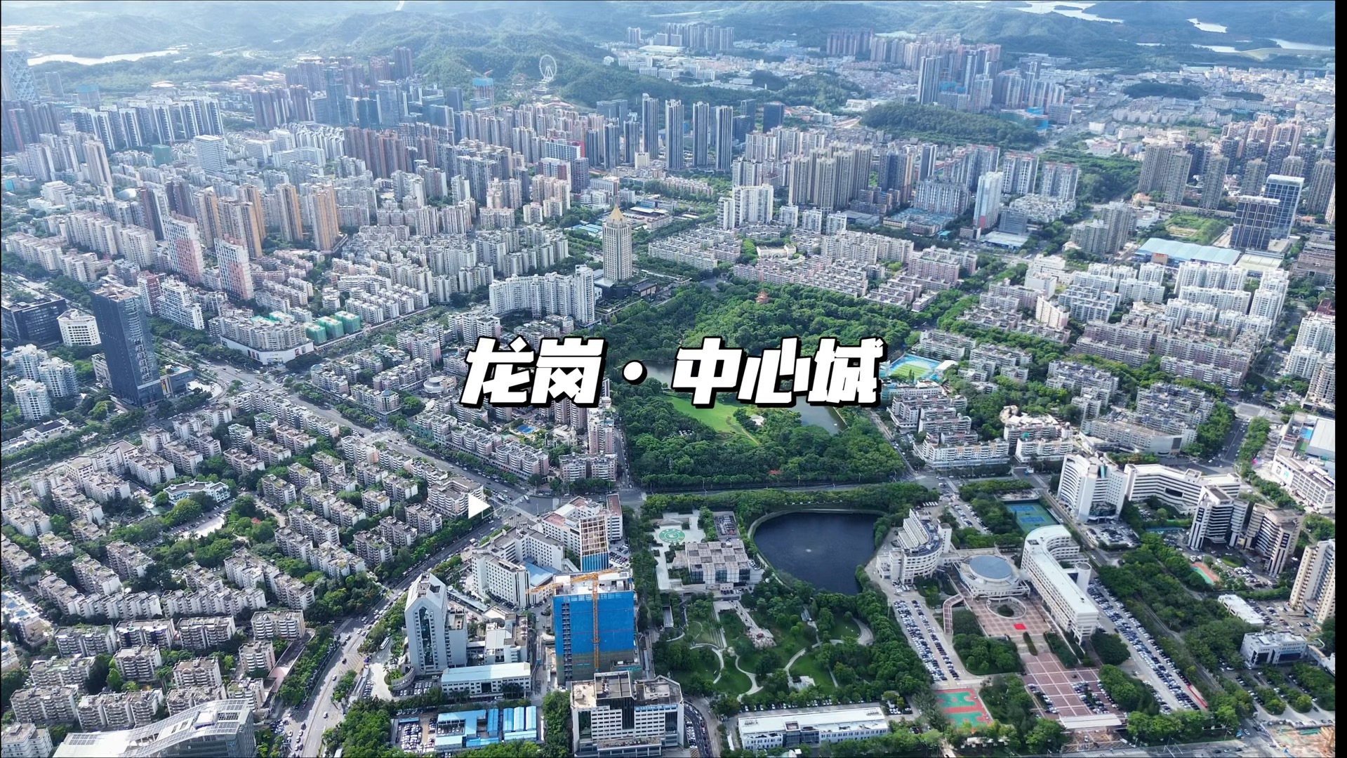 栖凤阁论坛全国信息生态调查报告：二十年成长历程的深度解析