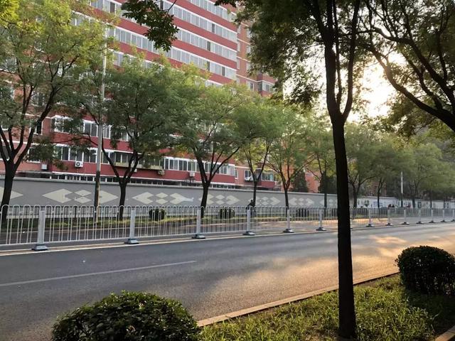 哈尔滨学院路女孩价格到底是怎么回事?