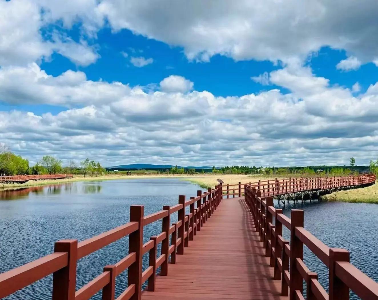 伊春大保健最多的地方有哪些热门区域