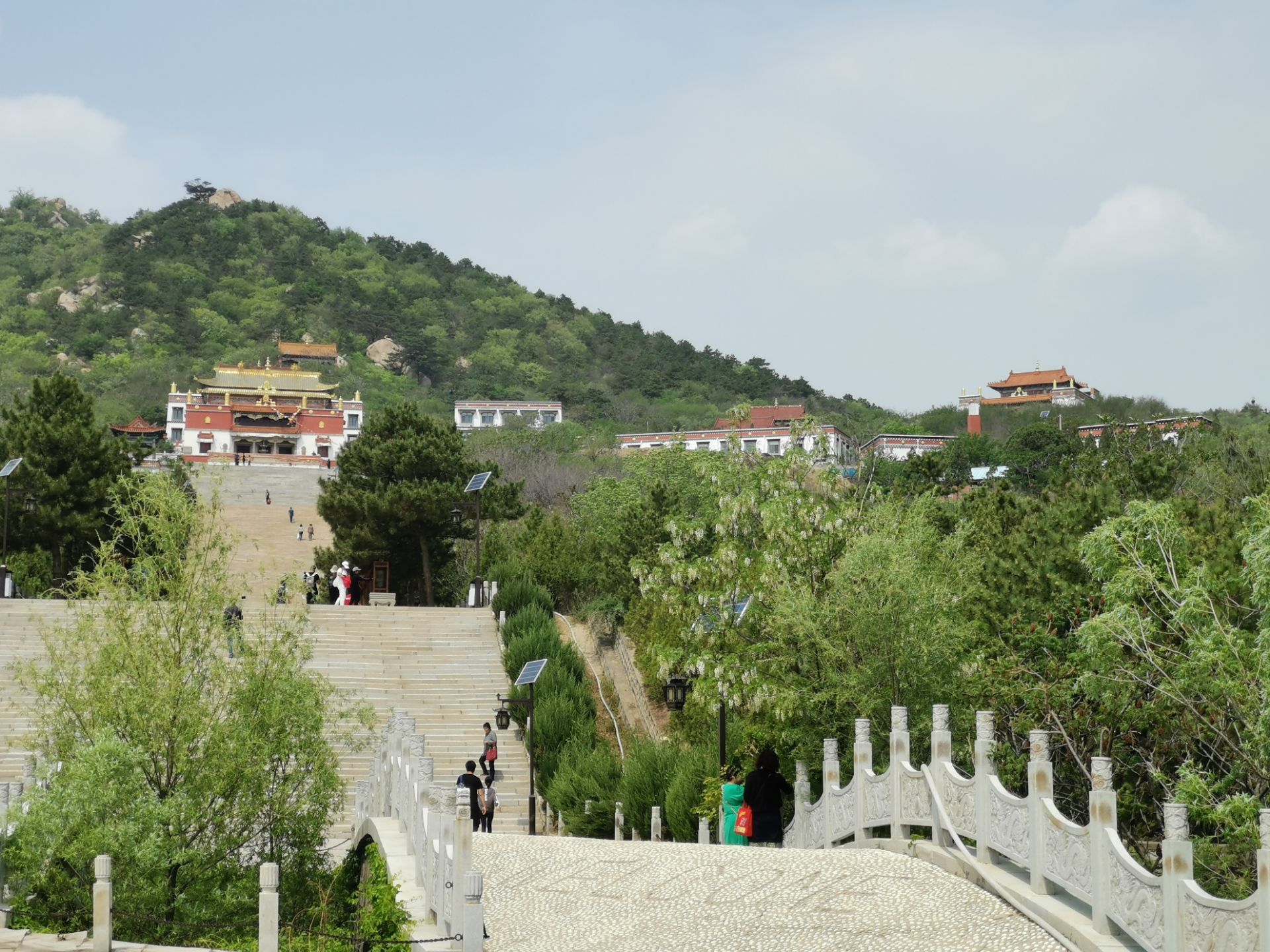 阜新周边单身女性联系方式及相关资讯大揭秘