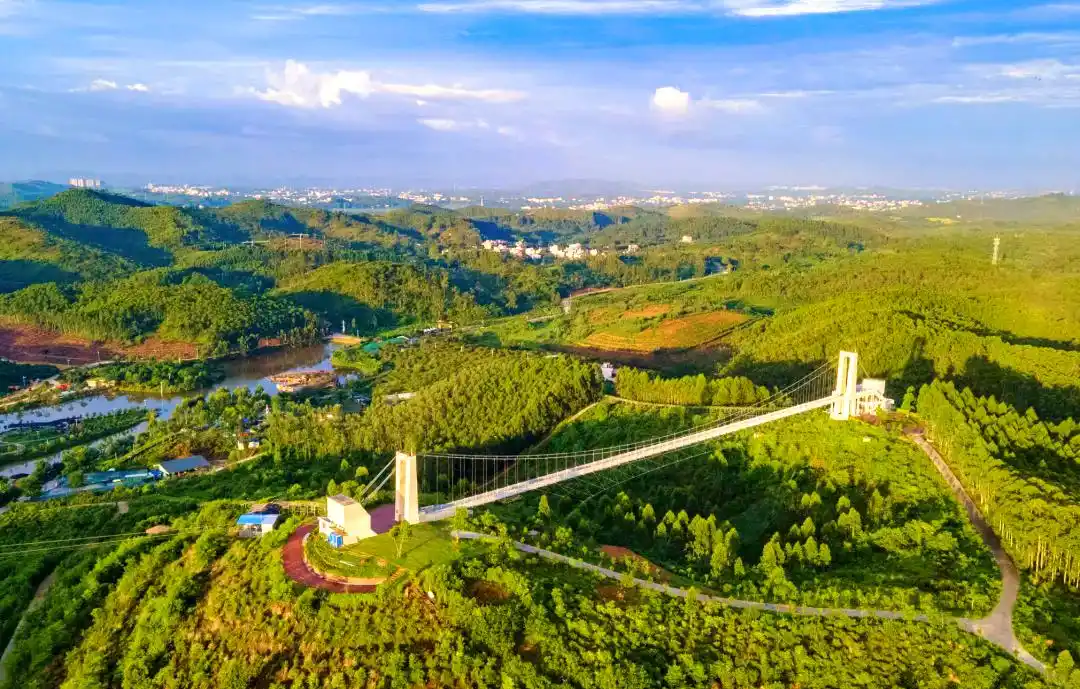 廉江品茶工作室私人定制体验