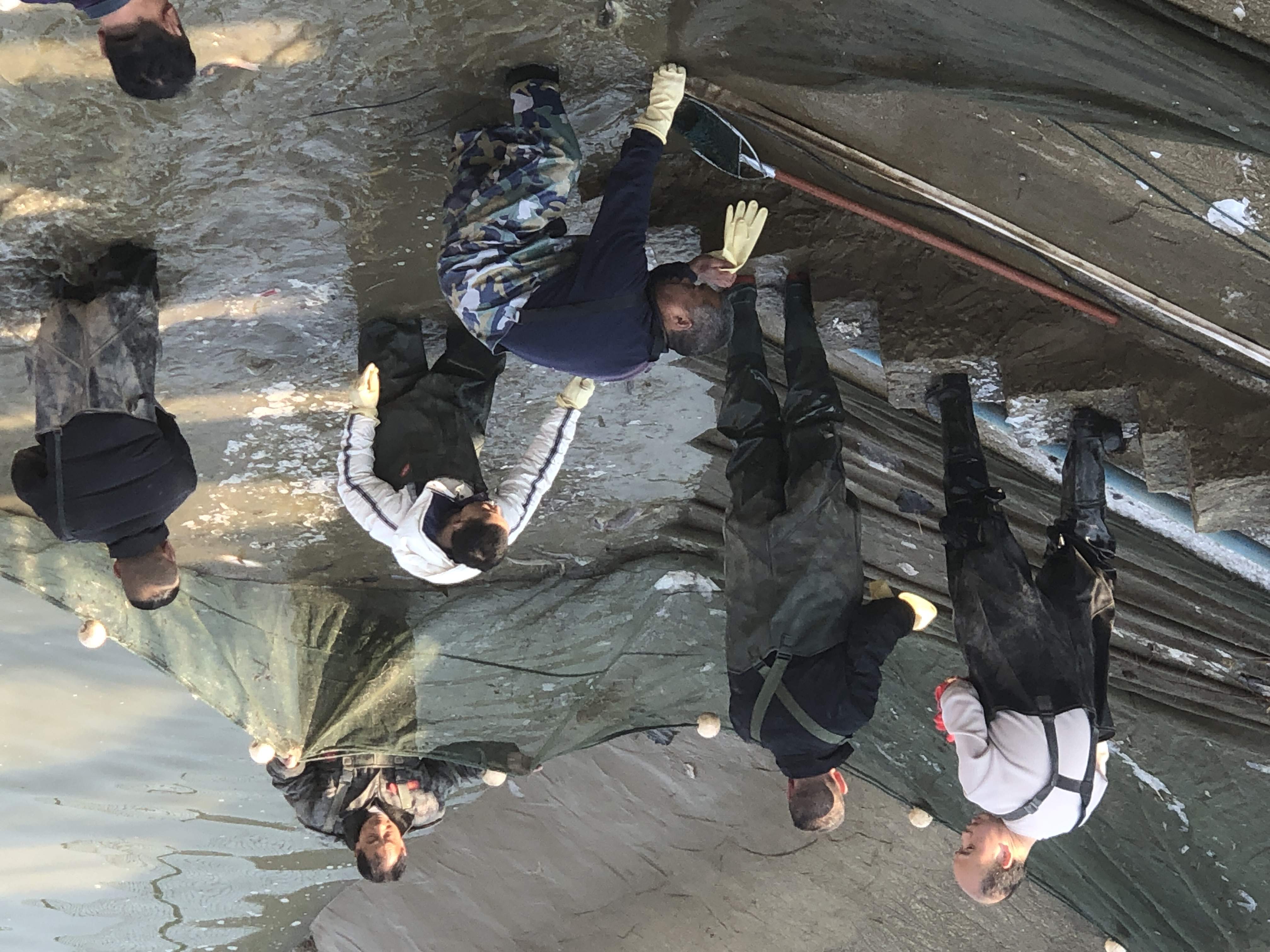 最新消息称:郑州黑朱庄进去怎么找?2025年实地路线指南与避坑攻略