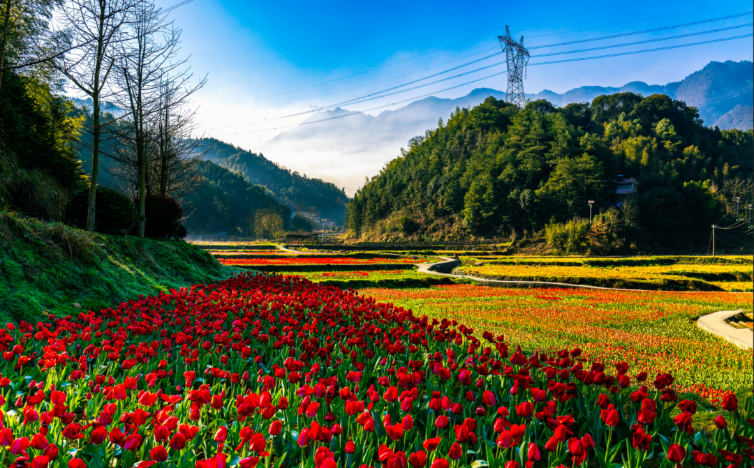 宜昌周边游玩攻略与便民服务指南