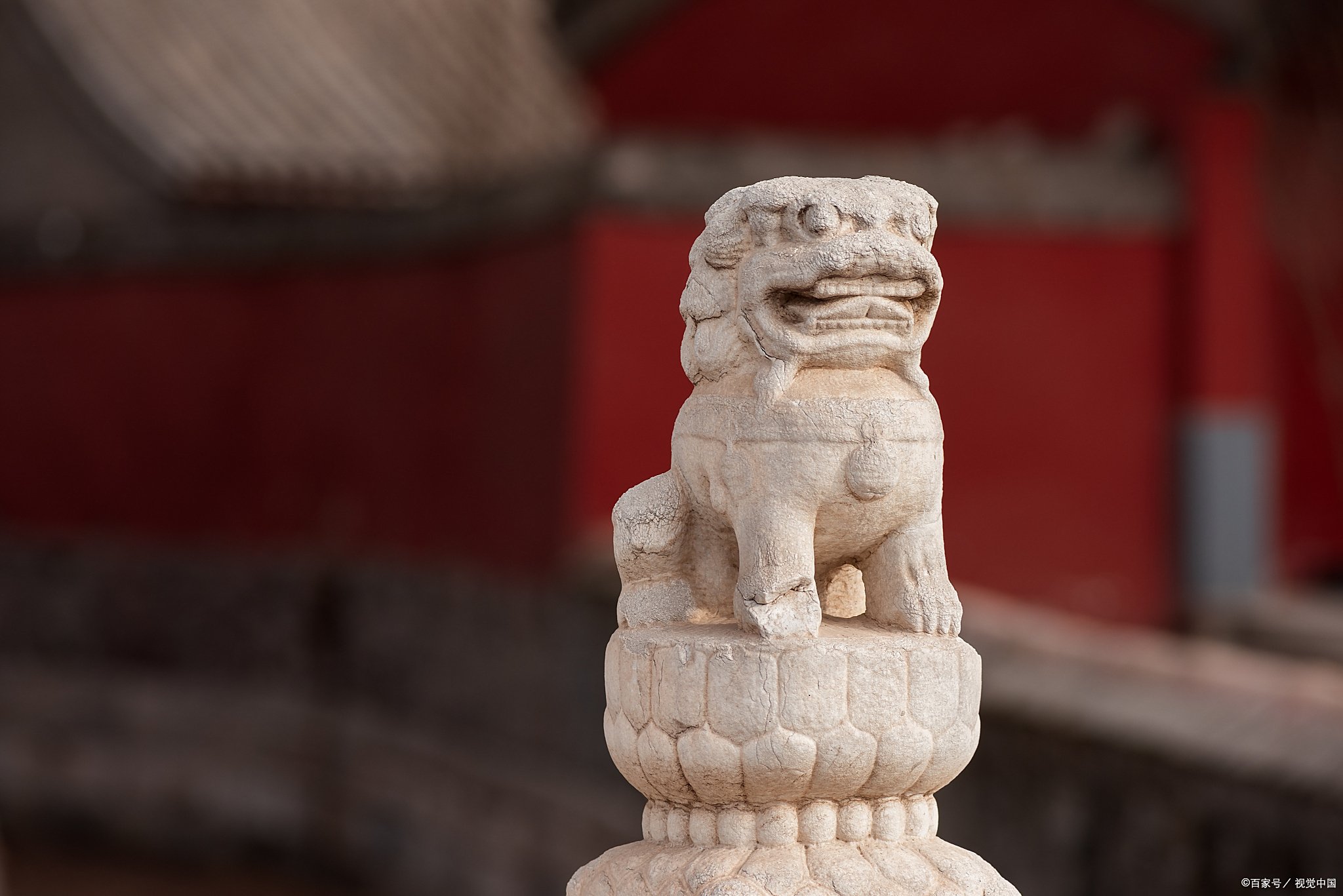 特别报道:网站操逼:2025年实测安全操作与高效方法避坑指南