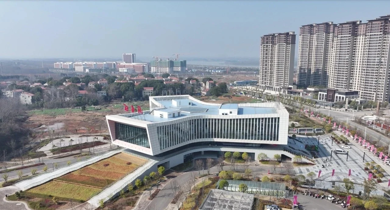 快餐电话400元4小时服务解析，效率与价值的深度权衡详解