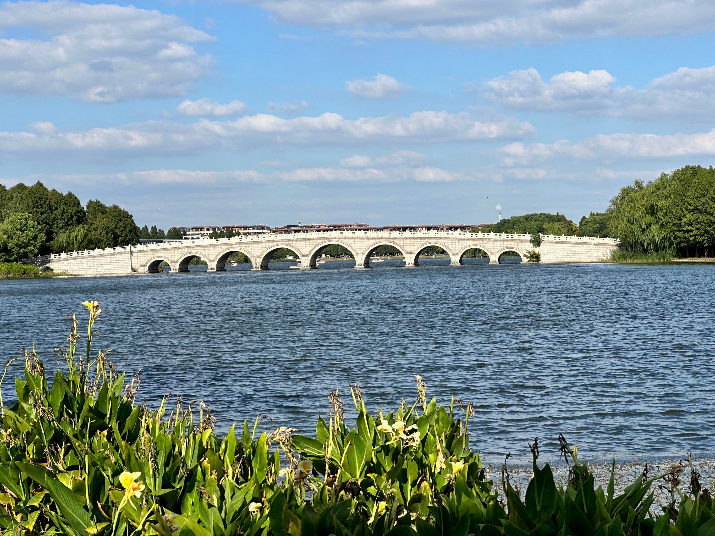 常州茶楼会所：江南慢生活的文化密码与商业启示解析