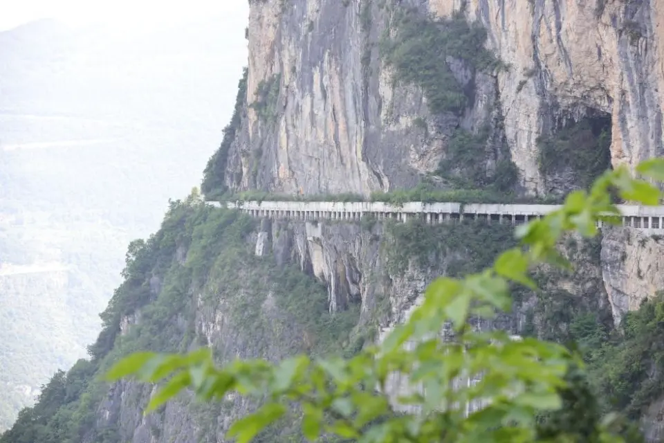 天河公园休闲社交观察,女性游客活动特征与互动分析