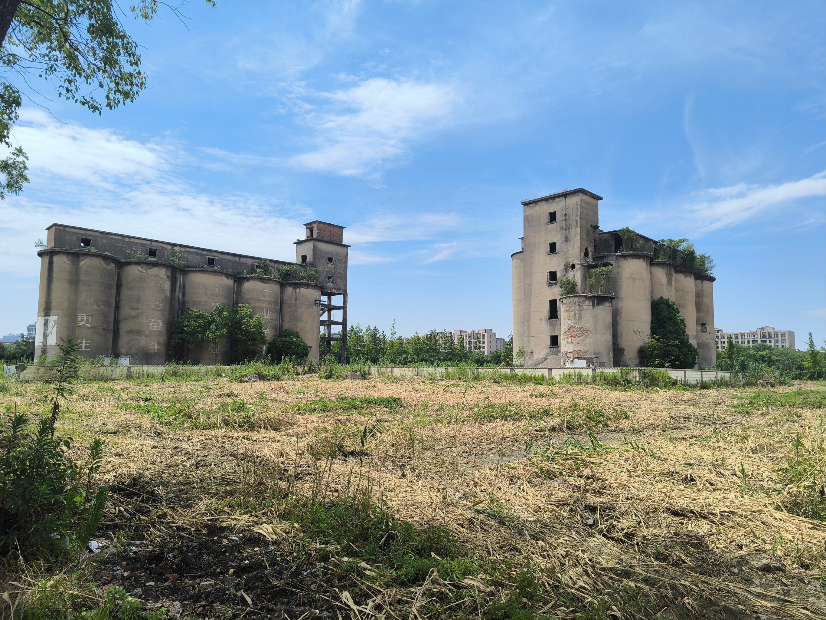 城市边缘的生存镜像,附近小妹群体的真实生态与人文观察