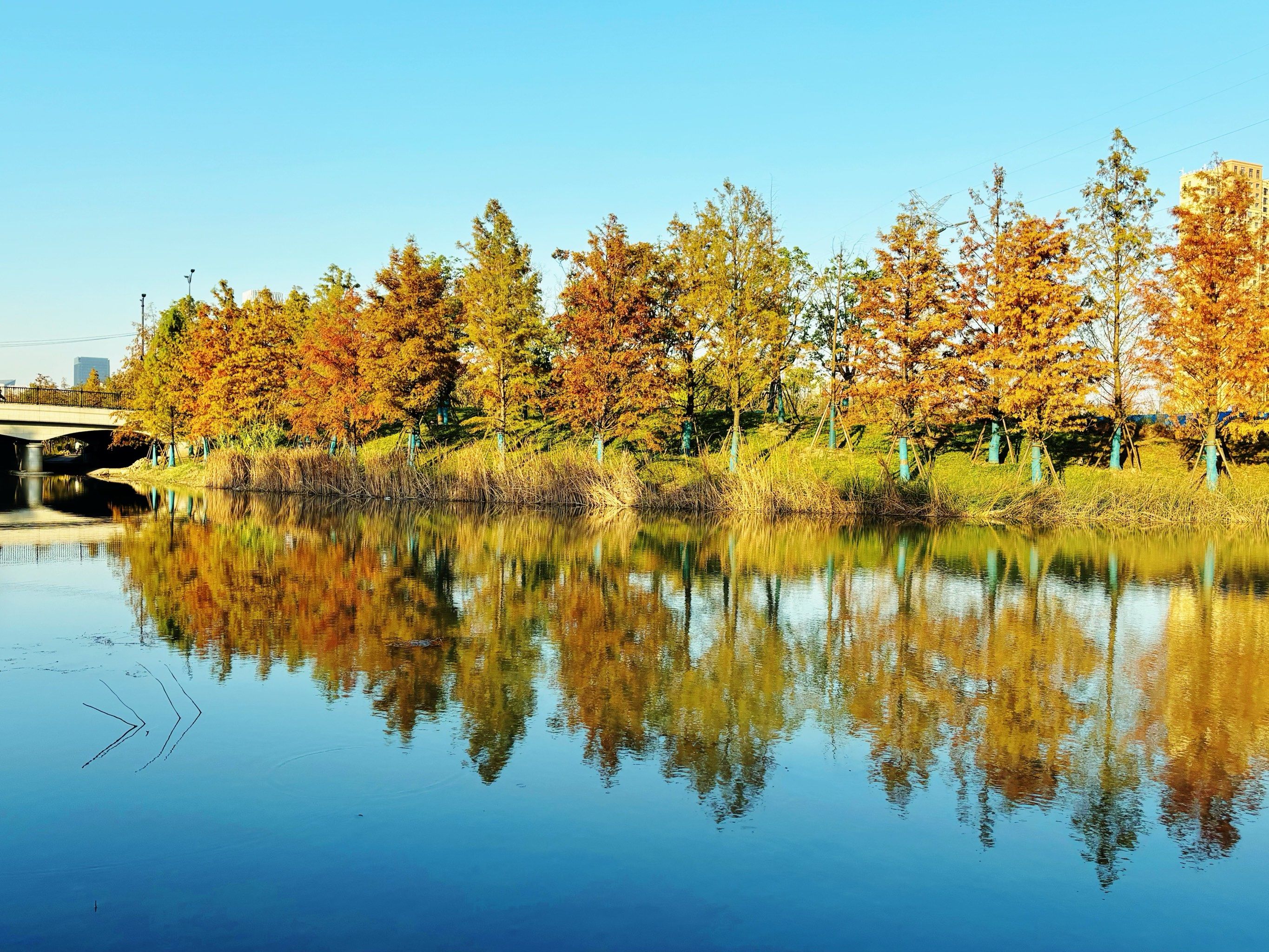 三林有站小巷的100块生存哲学,弄堂里的货币经济学
