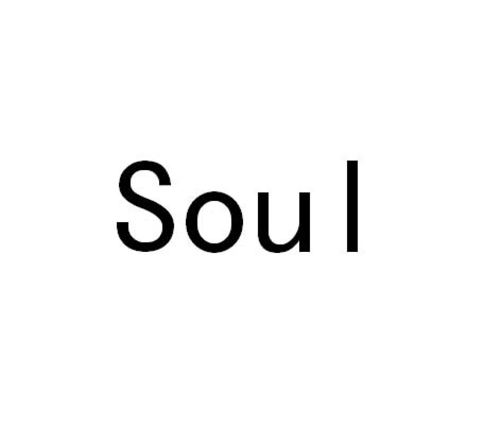 Z世代社交密码全解密：Soul上那些未明说的接头暗语揭秘