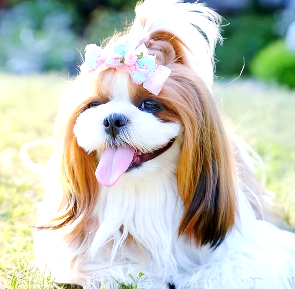 经济动态：揭秘高颜值到底是什么意思及相关话题解读