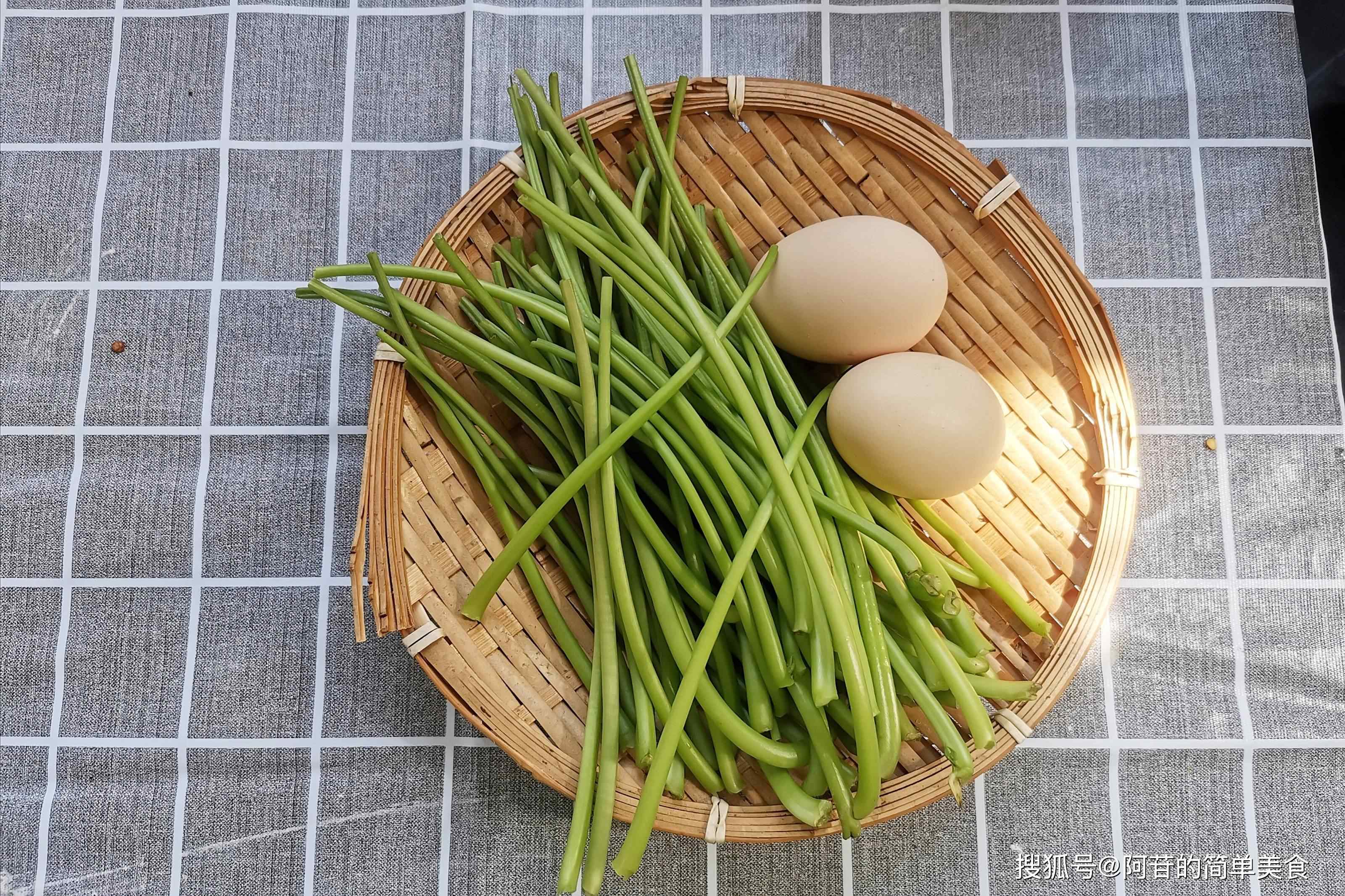 莆田同城品茶约服务：探秘福建宝藏城市的茶文化与旅游魅力