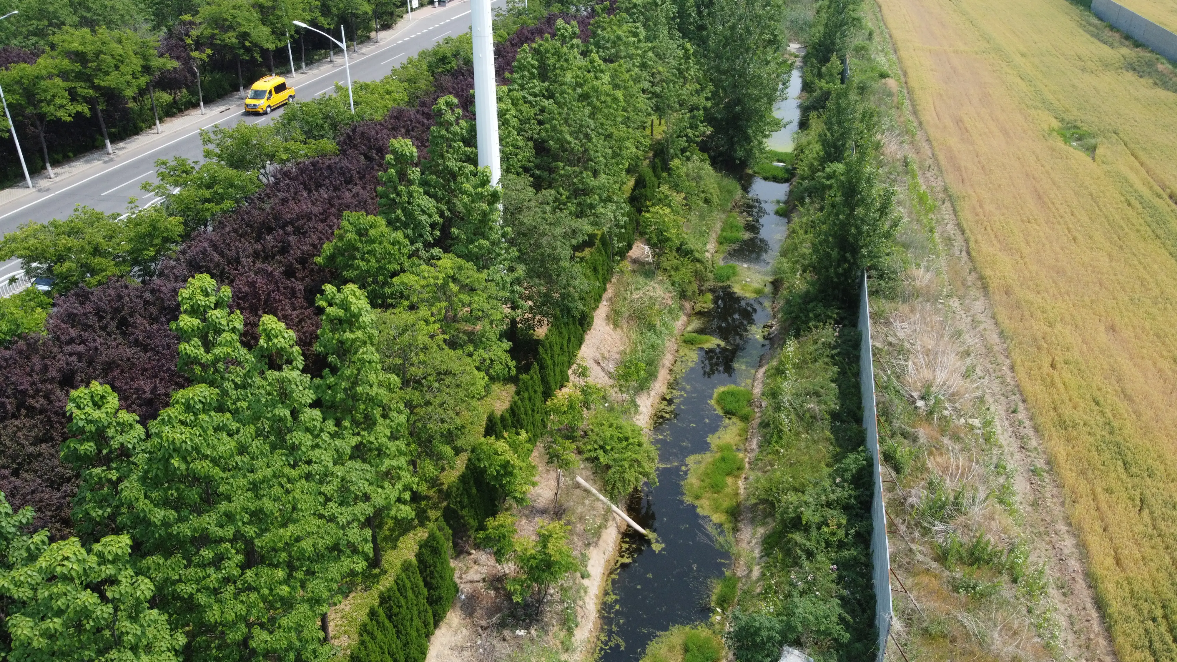 野水沟夜间生态调查：站街人群生存实录与空间博弈