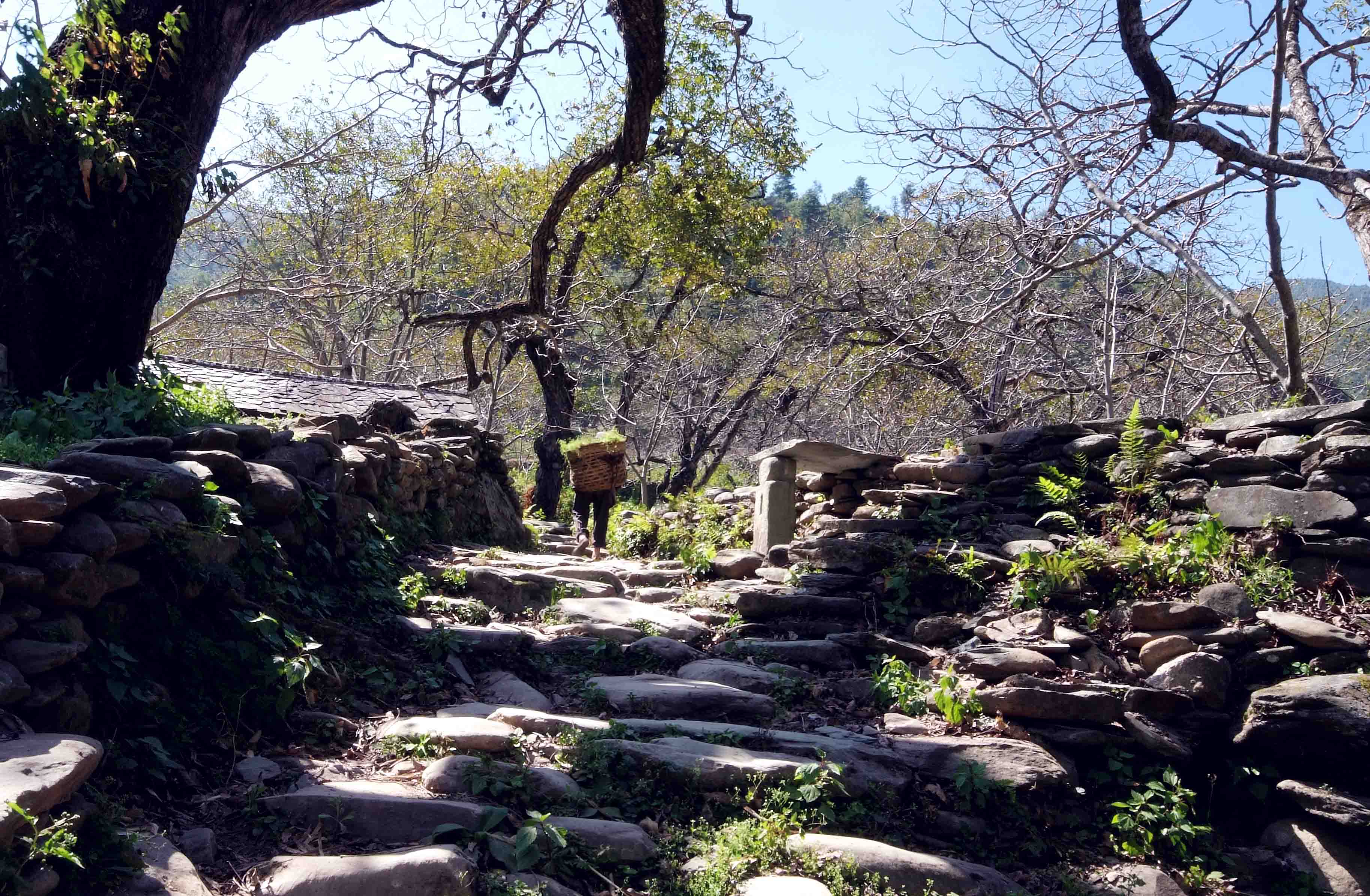 临沧如何找学校里出来卖的