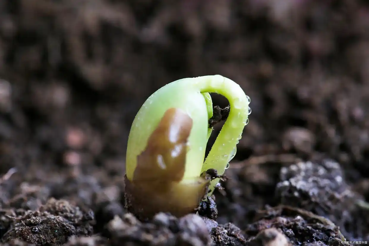 学生群生存指南：从萌新到大神的实用干货全攻略