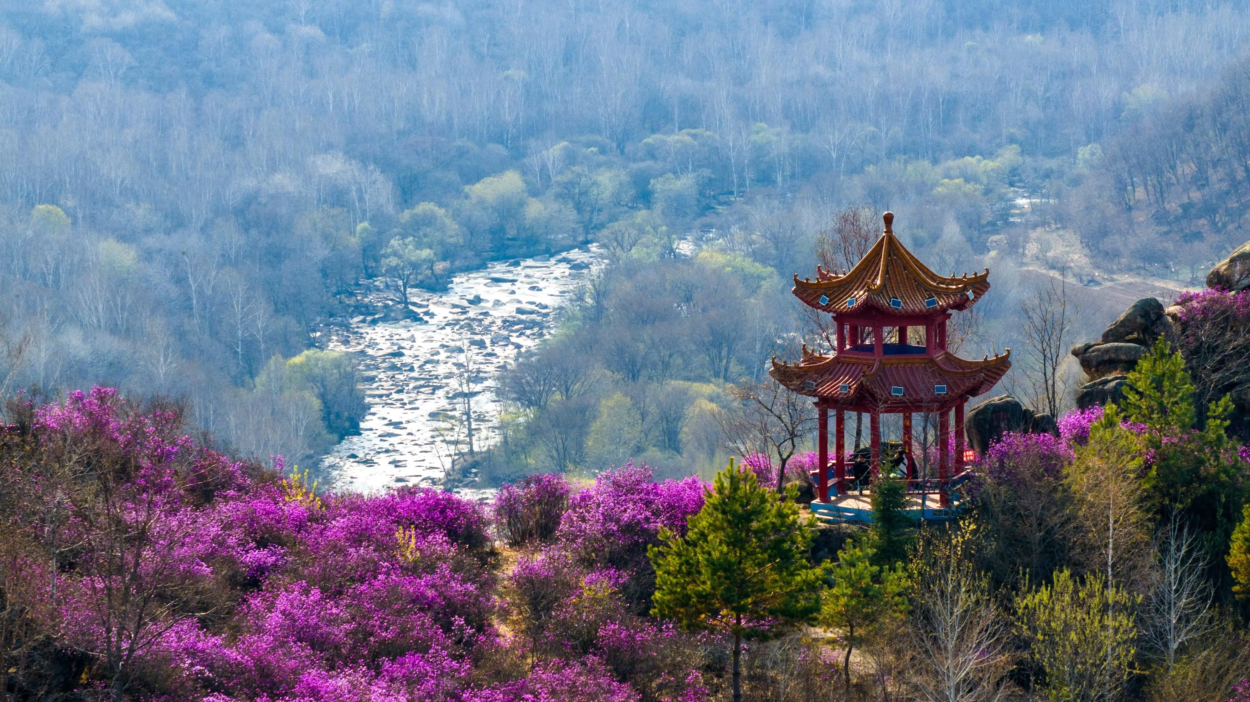 关于海林的渠道预约和相关信息汇总指南