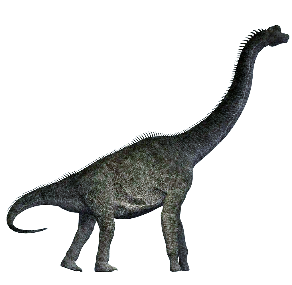 常州火车站有泄火的地方吗