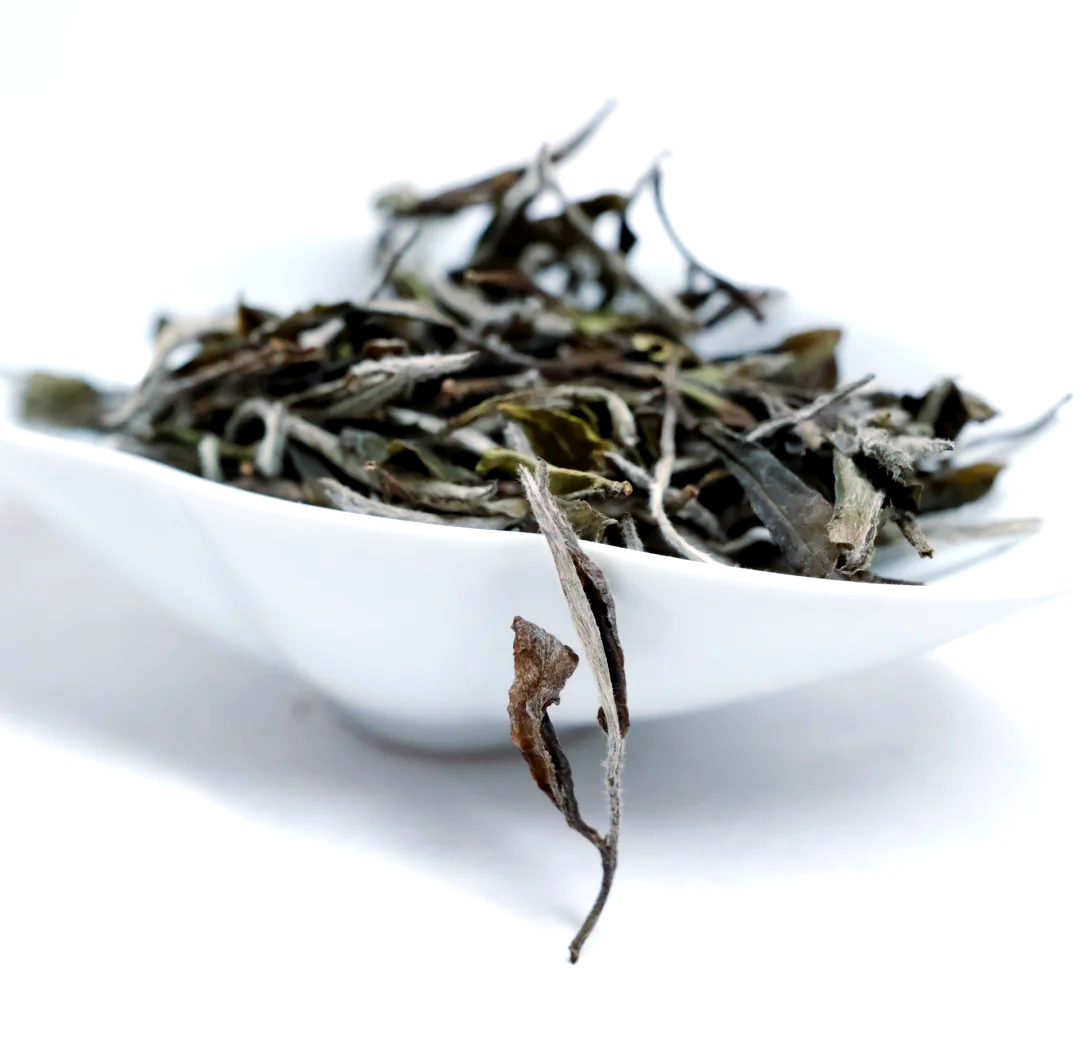 三亚新茶嫩茶wx：热带茶园的味觉革命