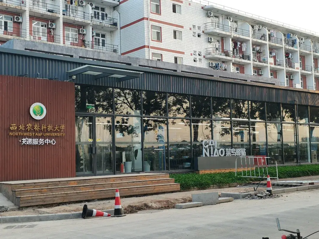 校门口妹子暗号2025剧情内容解析及大学校门暗号变化揭秘