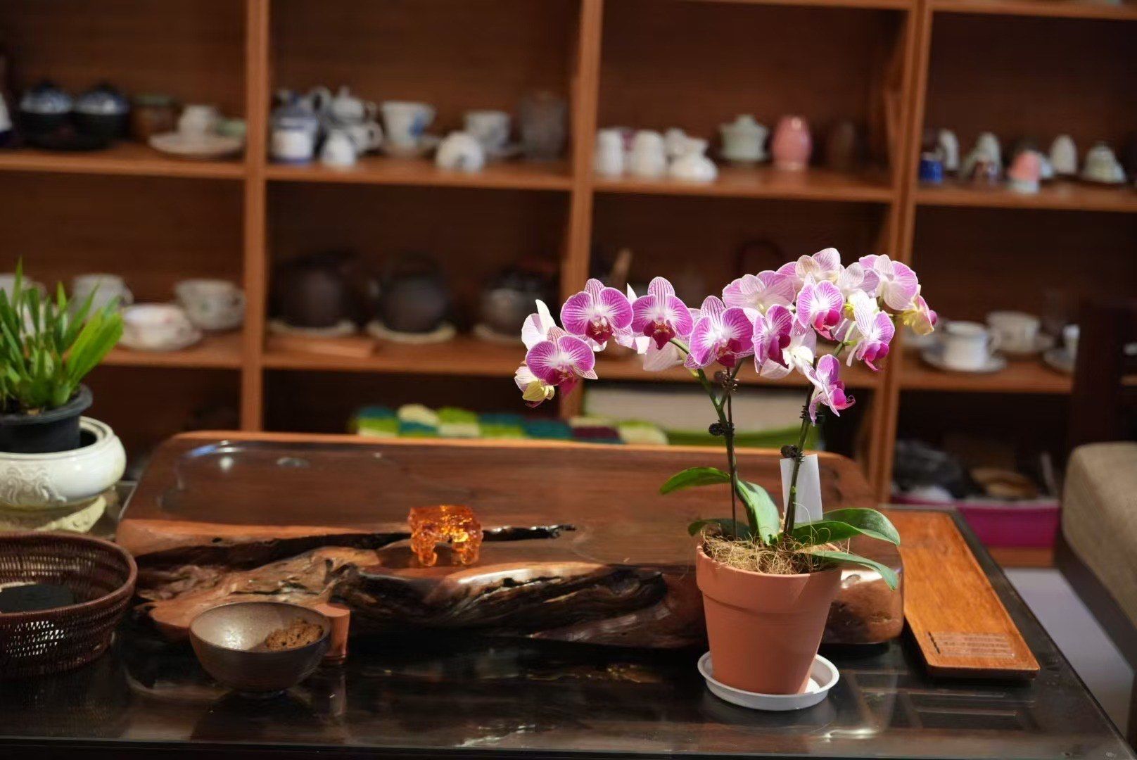 附近找茶指南，城市茶空间探索，茶香里的慢生活哲学