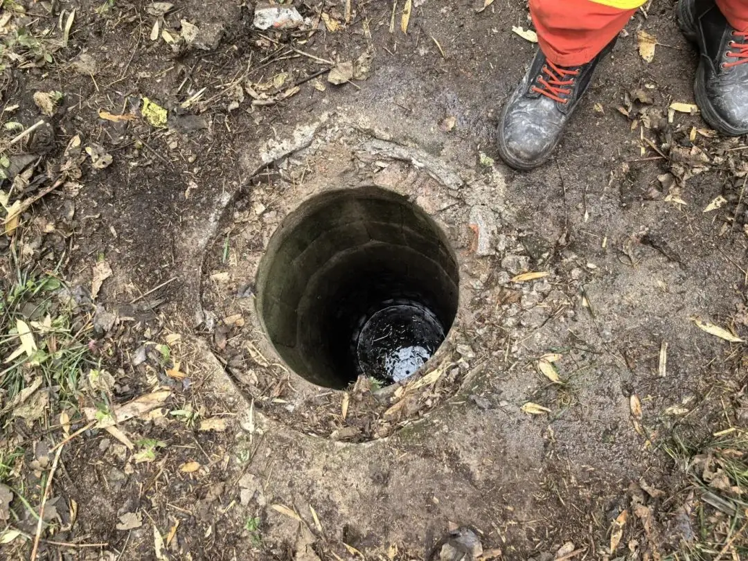 同城叫小妹服务全解析与避坑指南