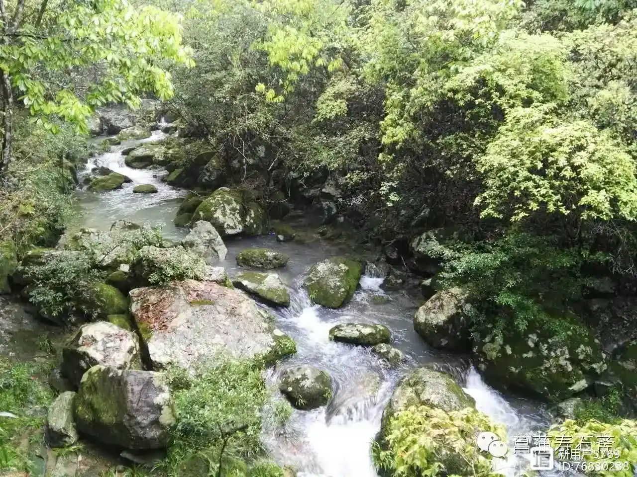 广州桑拿网蒲友论坛十五年沉淀:资深玩家教你避坑指南