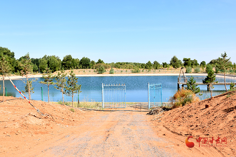 国际组织发布报告：敦煌高台巷现在有没有人，你了解吗