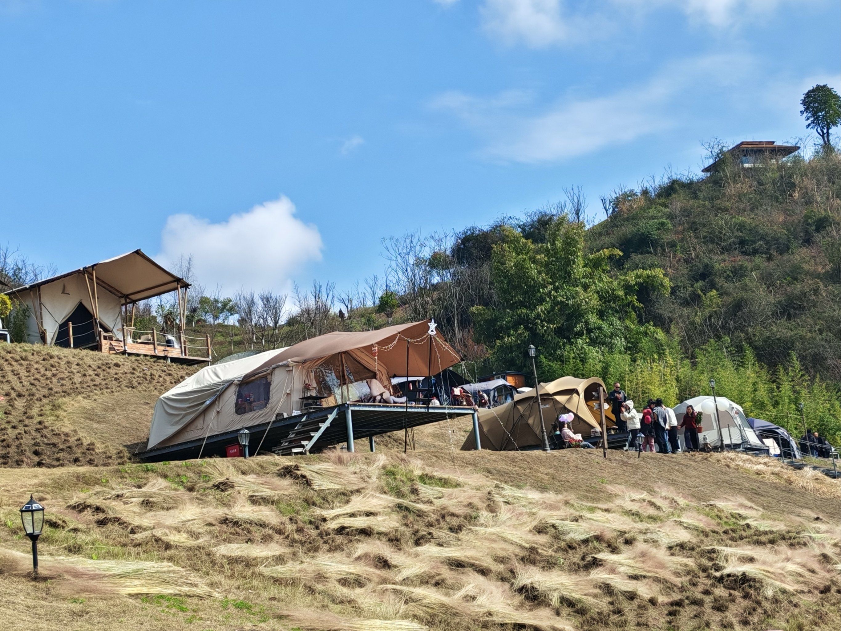 杭州户外喝茶好去处,茶香与自然的双重邂逅