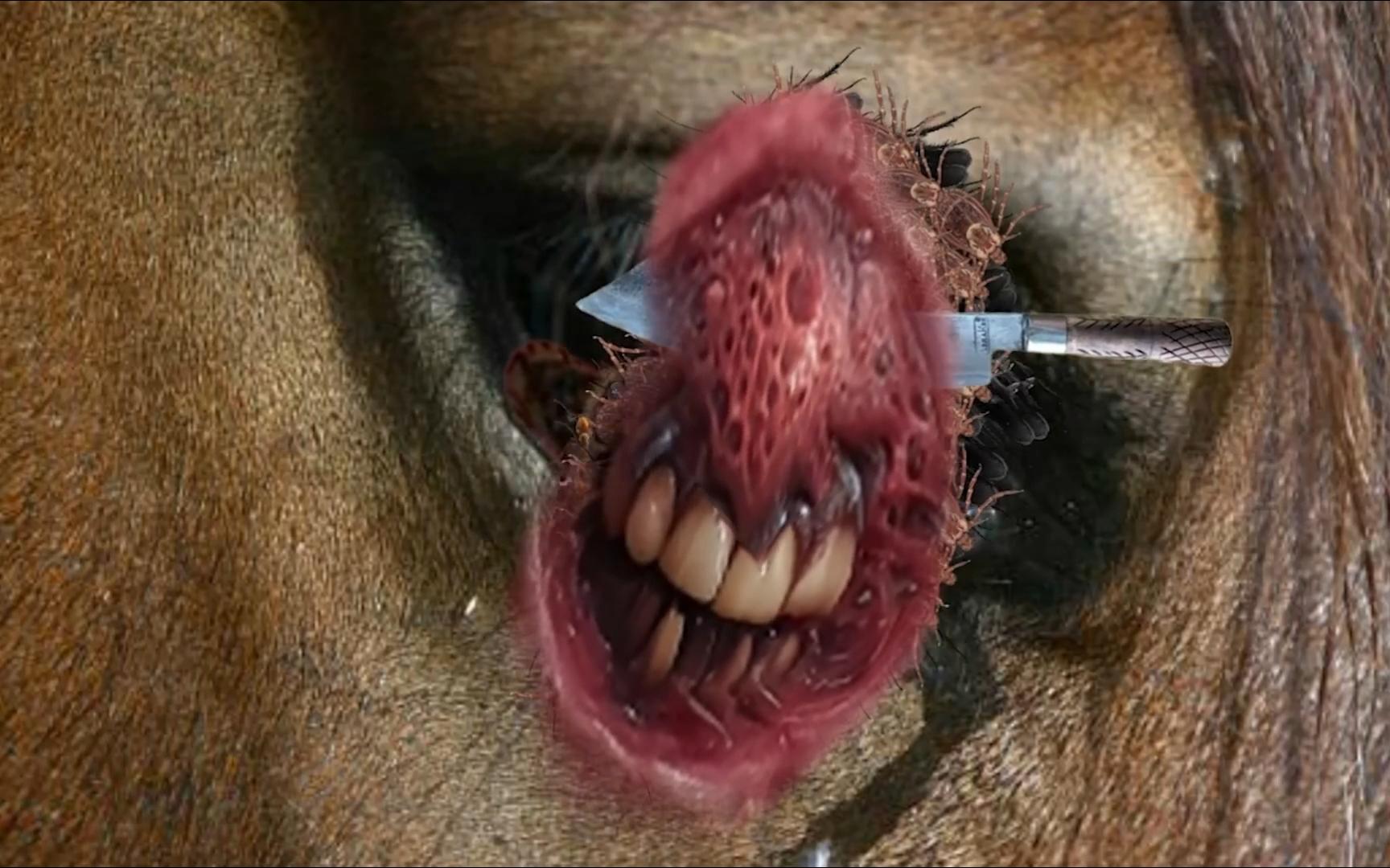 最新数据解析：马眼棒玩法的真实体验与选择建议