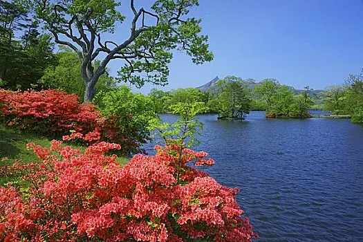 苹果手机专卖店