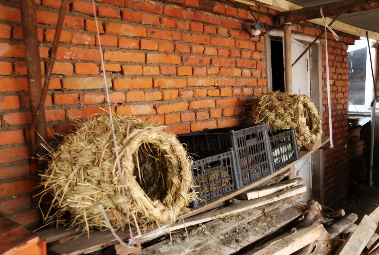 坪山鸡窝一条街搬迁去向追踪——原商户现状与消费指南全解析