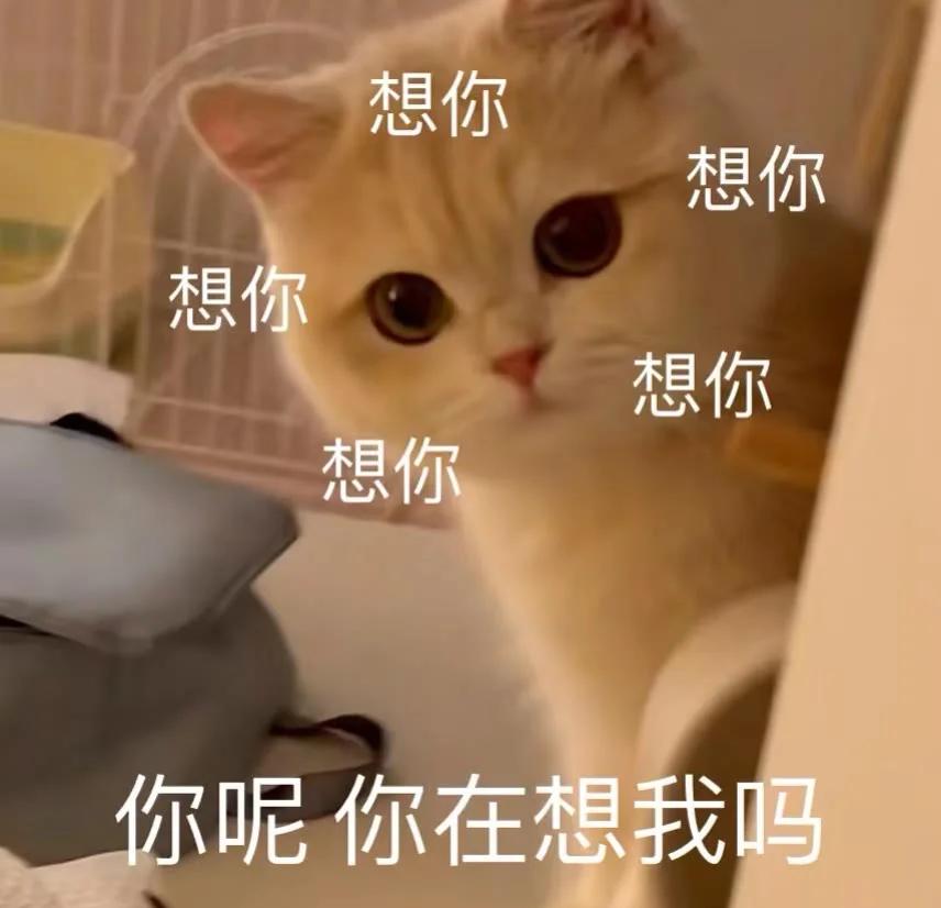 如何开口谈特殊服务？尴尬到自然的沟通秘笈