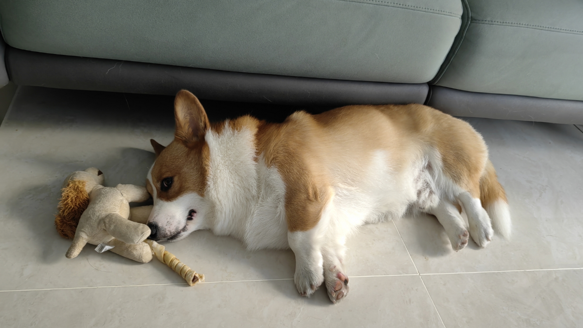 微信800三小时现象深度剖析,社交效率与时间成本的博弈