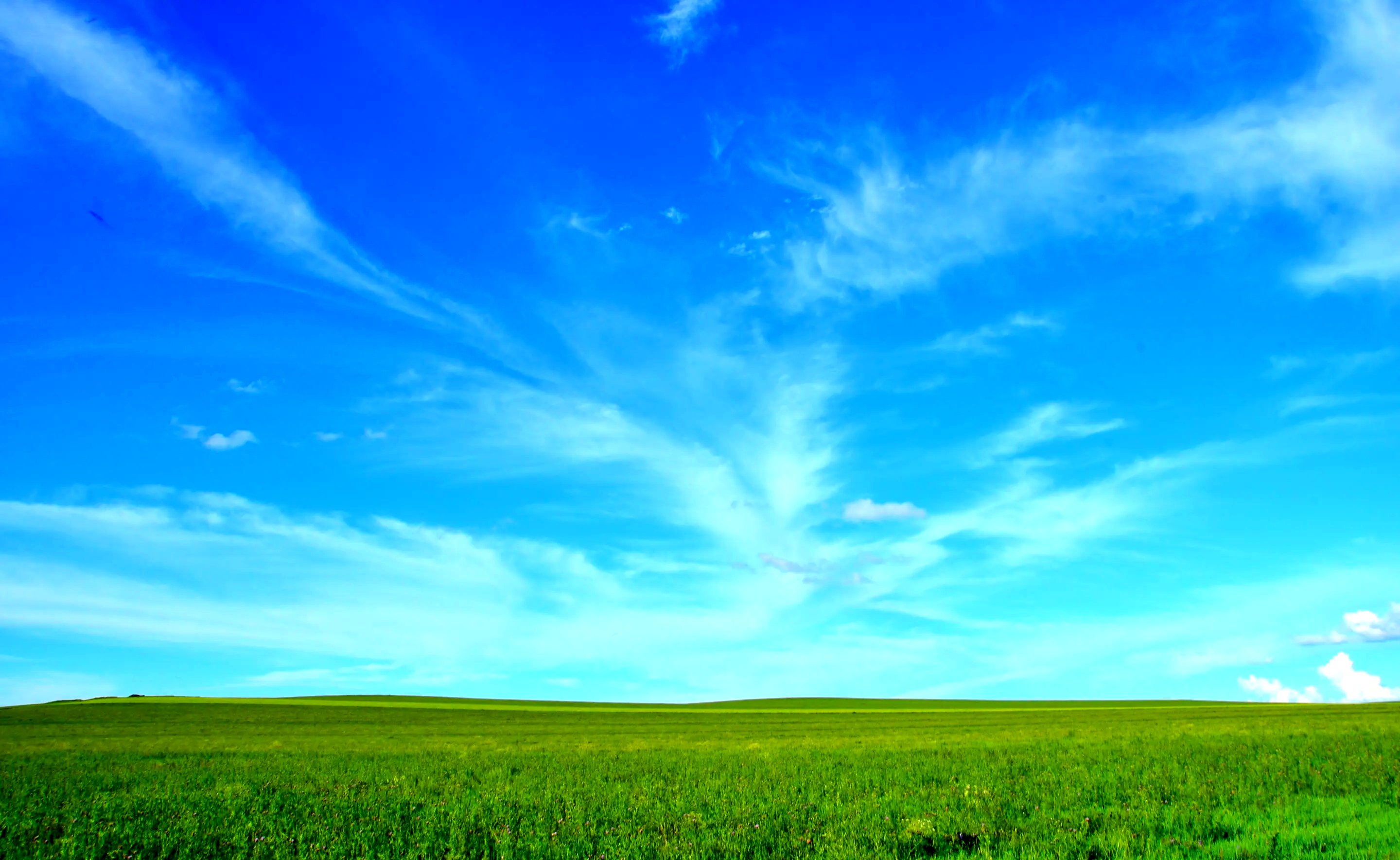 深度调查：嫖娼全套服务是些啥？深度解析服务内容与潜在风险