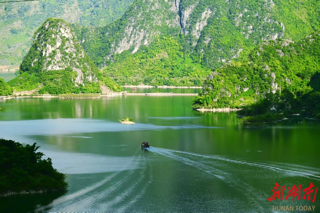 百色质量高的大活桑拿