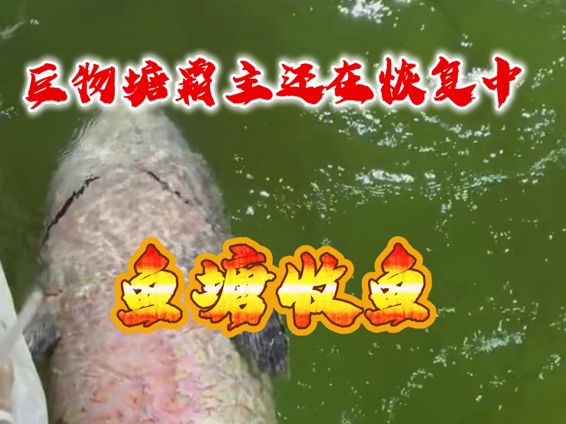 宝坻大活哪里值得体验,深度解析娱乐场所优劣对比