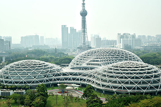 广佛高端茶饮地图:老饕才知道的5个阶级跃迁密码