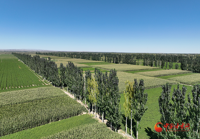 国际组织发布报告称，敦煌高台巷现在有没有人