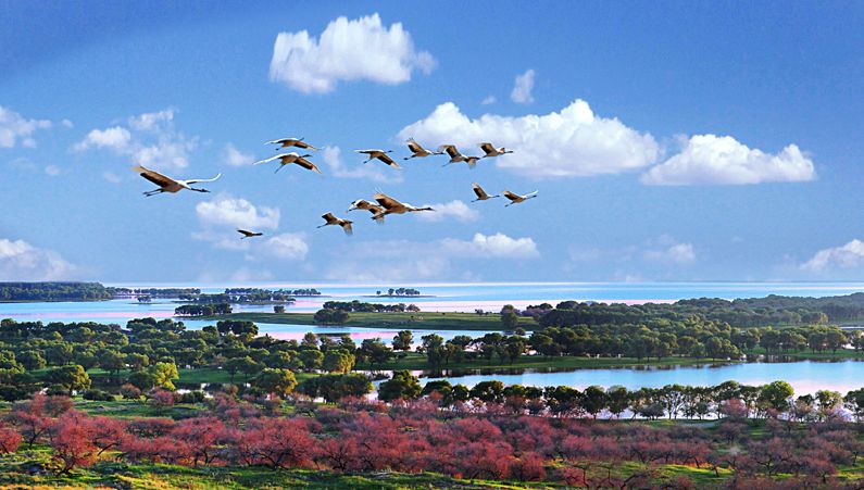 白城大学城附近有做服务的吗