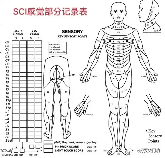 阿里巴巴网页设计教程