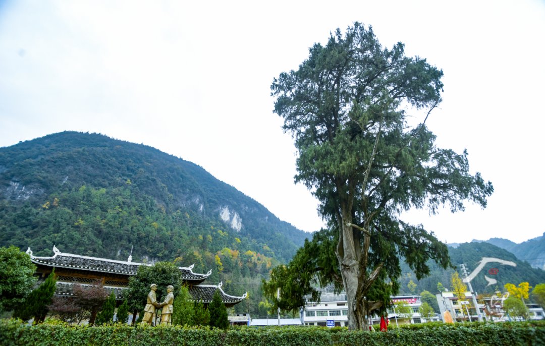 毕节50元巷子在哪里，看毕节及周边旅游景点推荐