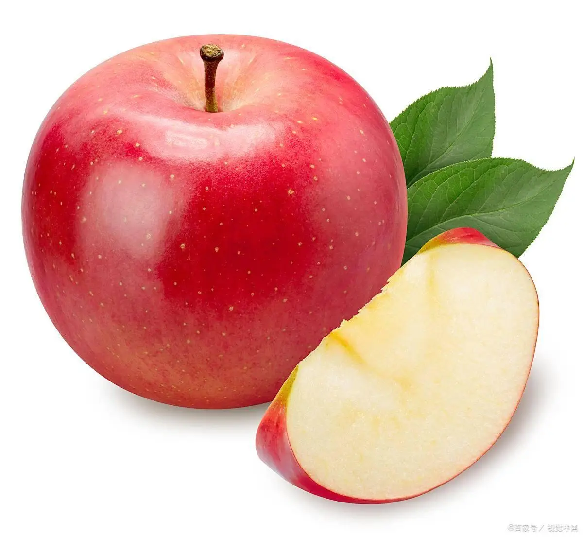 苹果系统升级指南 最新iOS与macOS更新方法