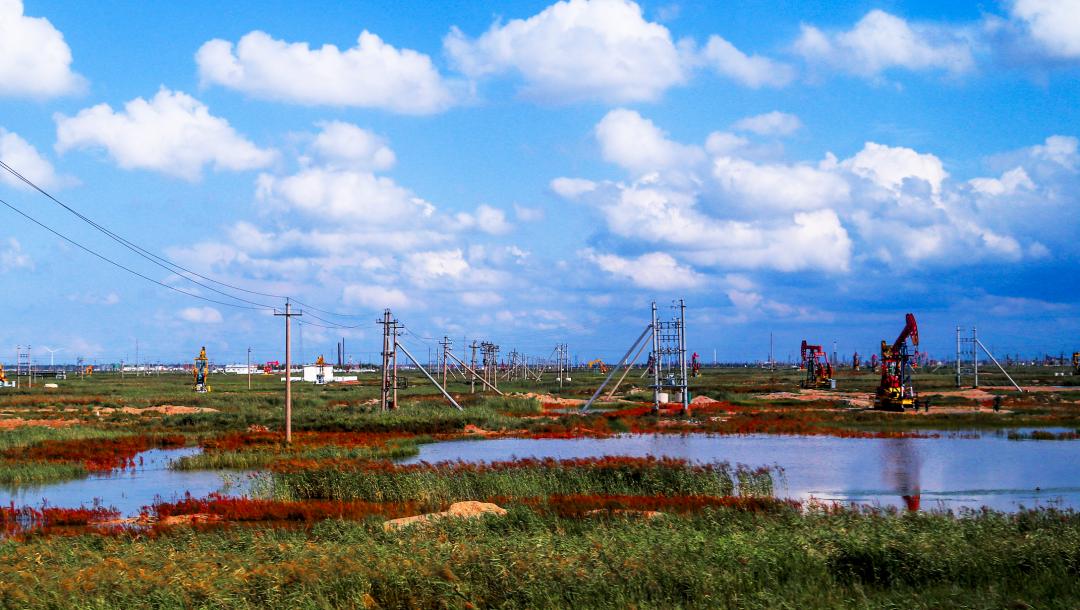地下经济地理志：大庆站街姑娘的十年迁徙路线图深度解析