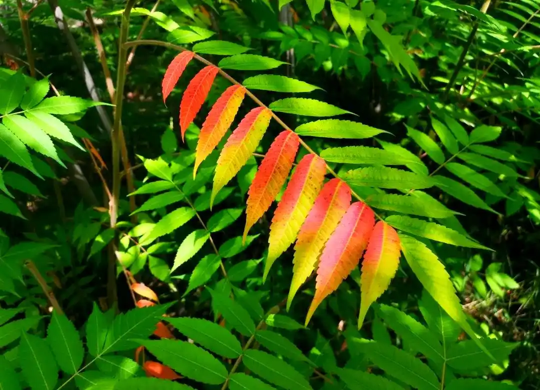 紧急通知：东郊看不到客户评价呢究竟是怎么回事？客户评价隐藏的原因和解决方法