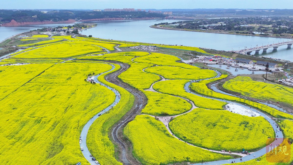 专家解读：透露给少妇推油少妇髙潮了｜手法技巧与真实体验分享