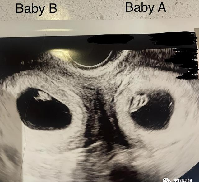 半套到底是什么意思?