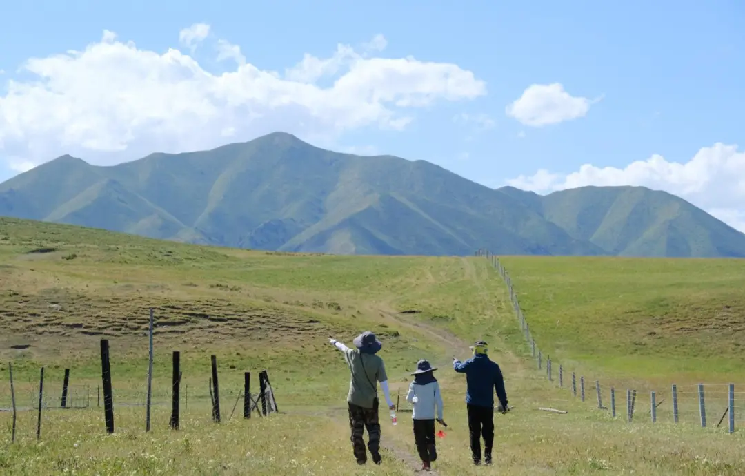 周口女士做spa包含飞机大概多少钱