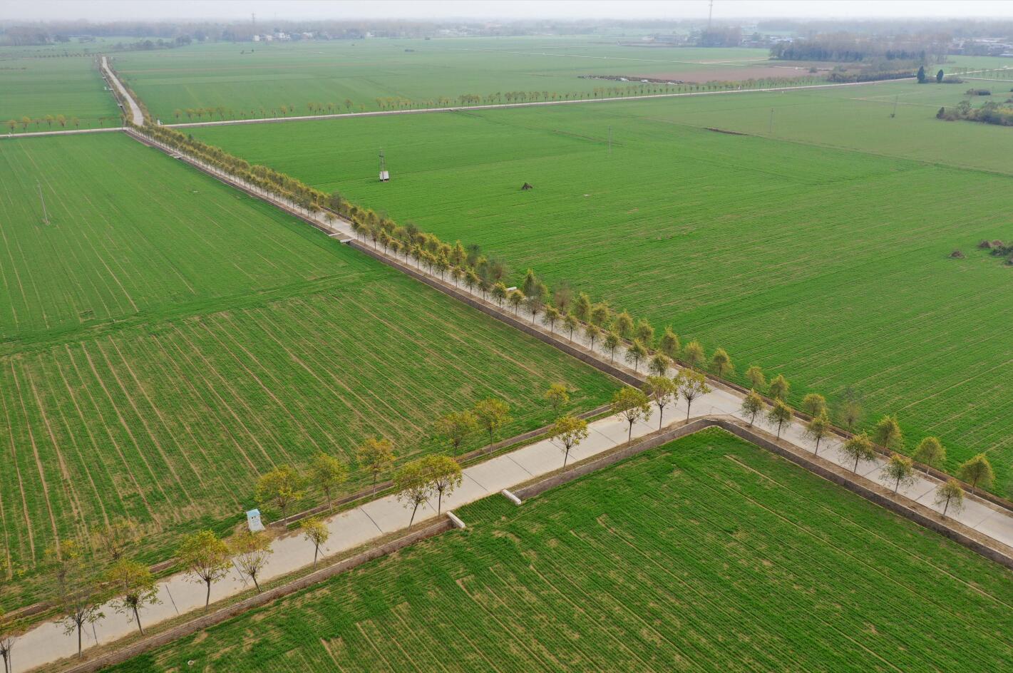 近日传来消息：郑州南曹乡炮街值得去吗？2025年实地测评与避坑指南